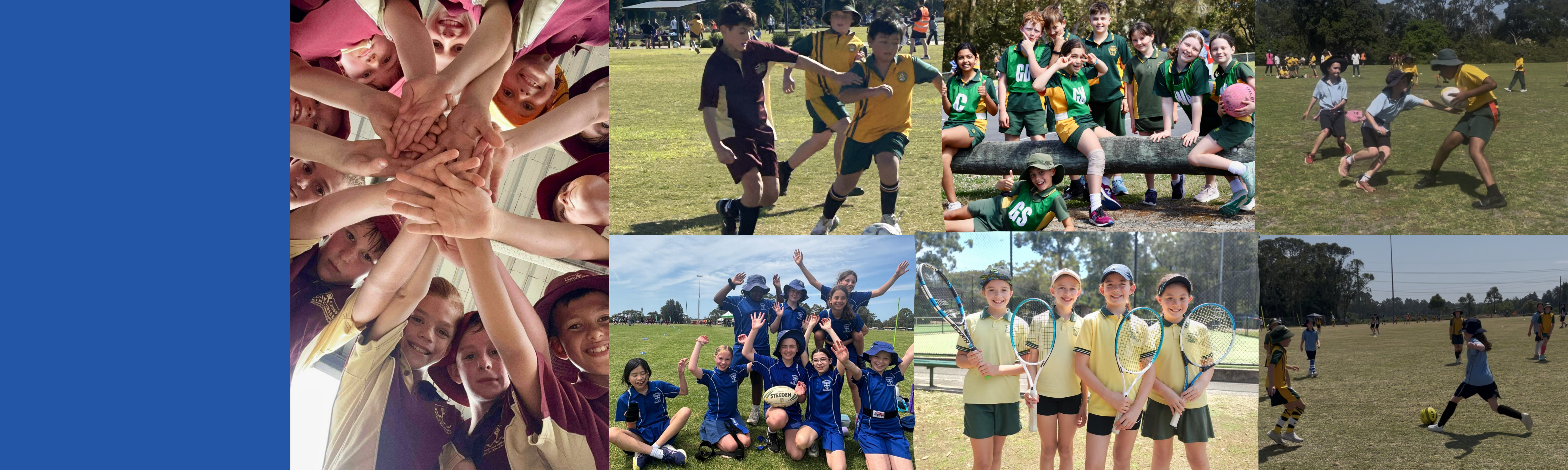 primary IS day banner.png